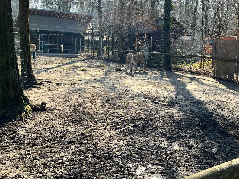 23-02-13 13-53-35 4203